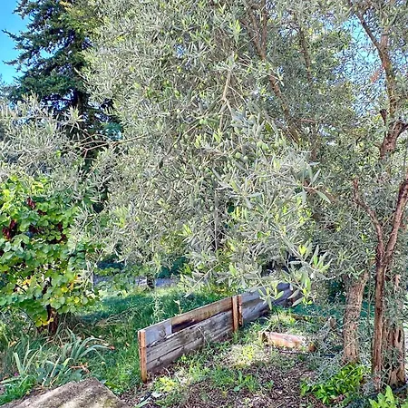 Spacious With Pool - Peaceful In Sud Luberon *